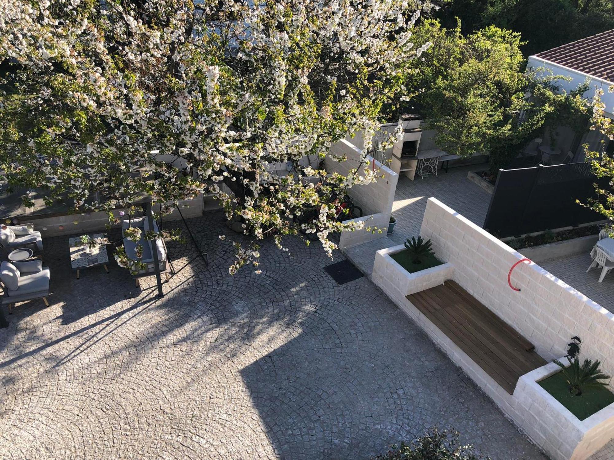 Casa Da Avo Olinda Villa Gois Ngoại thất bức ảnh
